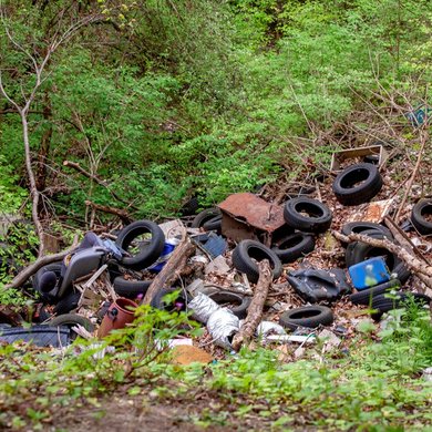 Wilde Müllkippe in einem Wald