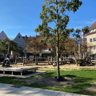 Stadtbäume auf dem Spielplatz am Adolf-Reichwein-Platz
