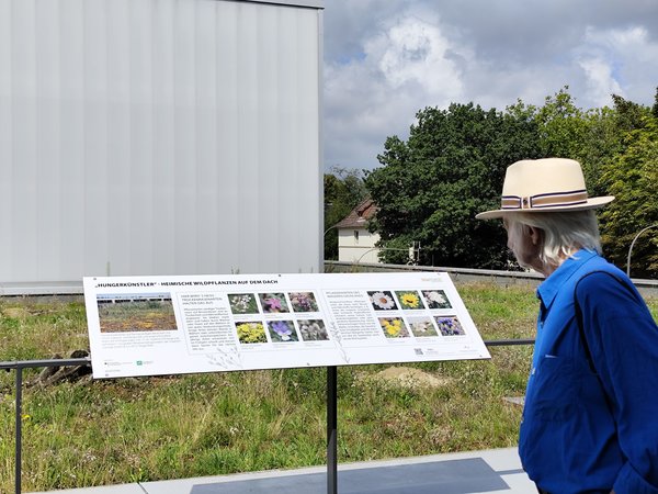 Führung Insektenbündnis, Hannover, Agro-Technicum, Hochschule Osnabrück, August 2024
