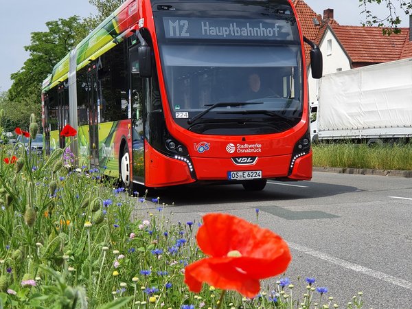 Bus mit Blume